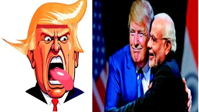 Why does Trump bring out such crazy people... does he have any specific calculations in this?