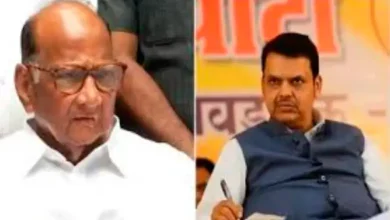 sharad pawar supports investigation into partha pawar land deal