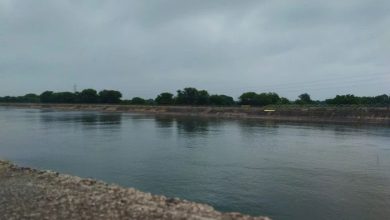 Father jumps into Narmada Canal with two daughters in Gandhinagar, body of young man found late in the evening after search