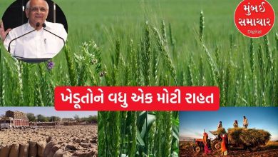 Another farmer-friendly decision by 'Dada': Purchase of this crop at support price will start from Monday!