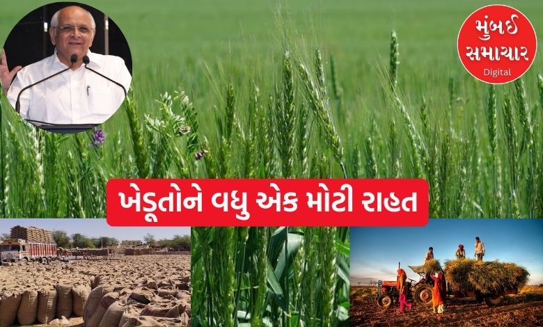 Another farmer-friendly decision by 'Dada': Purchase of this crop at support price will start from Monday!