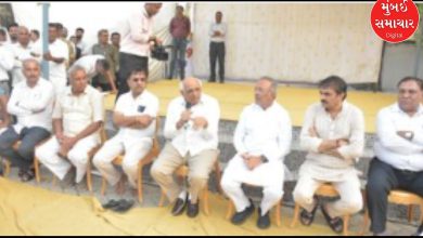 Chief Minister Bhupendra Patel inspected the flood-affected areas of Junagadh and Gir Somnath