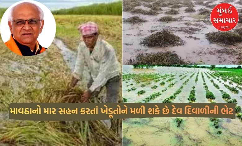 Farmers suffering from drought in the state can get a gift of Diwali from God, the government has announced a historic relief package