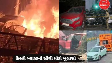 લાલ કિલ્લા વિસ્ફોટ, દેશમાં ૩૨ કાર બોમ્બથી શ્રેણીબદ્ધ હુમલાનું આતંકવાદી ષડયંત્ર