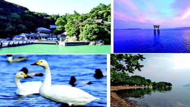 જાપાનના લેક બિવાનું પારદર્શક પાણી, શાંત ટેકરીઓ અને શિરાહિજે શ્રાઇનનો પાણીમાં ડૂબેલો ગેટ