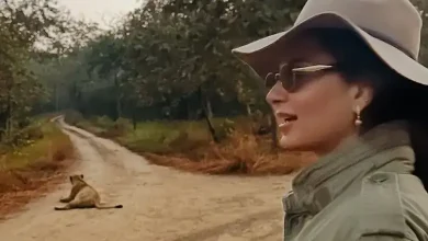Know with whom actress Kangana Ranaut visited Sasan Gir