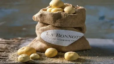 The price of one kilo of potatoes is Rs 1,00,000, what is special about these potatoes? If you want to know...