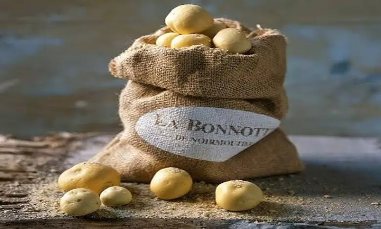 The price of one kilo of potatoes is Rs 1,00,000, what is special about these potatoes? If you want to know...