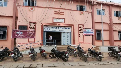 મહિસાગર લુણાવાડા નગરપાલિકા, ભાજપના સભ્યોનો આંતરિક જૂથવાદ અને વિરોધ