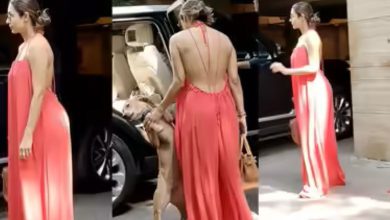 50 વર્ષની એક્ટ્રેસે રેડ શોર્ટ શિમરી ડ્રેસમાં રેમ્પ પર કર્યું વોક, વીડિયો થયો વાઈરલ...