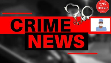 The nurse who saved the patient's life became a 'serial killer': Two murders committed in Veraval in five months through poisonous injection