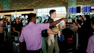 mumbai airport faces flight disruptions