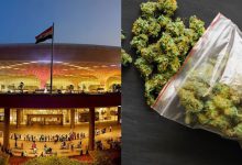 Smuggled marijuana worth Rs 9 crore seized at Mumbai airport: Chennai youth arrested