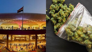 Smuggled marijuana worth Rs 9 crore seized at Mumbai airport: Chennai youth arrested