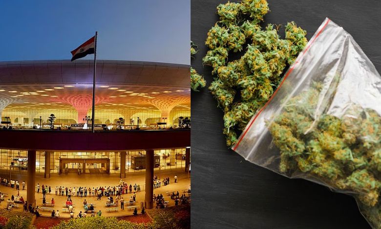 Smuggled marijuana worth Rs 9 crore seized at Mumbai airport: Chennai youth arrested