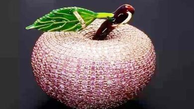 હેં, 10 કરોડ રૂપિયાનું એક સફરજન? મોંઘી કિંમતનું કારણ જાણીને ચોંકી ઉઠશો...