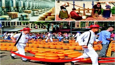 Take a look here too…: Netherlands: You are a `cheese', you are so cool.