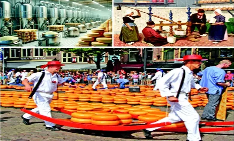 Take a look here too…: Netherlands: You are a `cheese', you are so cool.