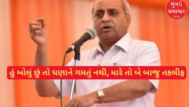 'I won't let anything go wrong as long as I'm in the loop': Nitin Patel