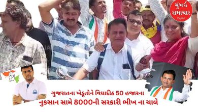 Two veteran leaders of the Amreli Congress, Paresh Dhanani and Pratap Dudhat, made harsh attacks.