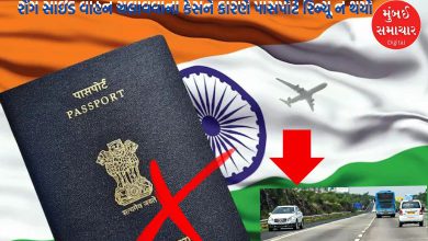 Passport not renewed due to wrong side driving case, know what order was given by Gujarat High Court