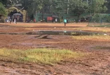 Beautification of Shivaji Park will improve