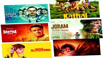 Show-Sharaba: What kind of protest cinema are these situation?