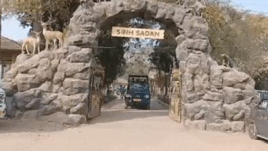 સાવધાન! સિંહ સદનના નામે ફેક વેબસાઈટ બનાવી પ્રવાસીઓને ચૂનો ચોપડ્યો!