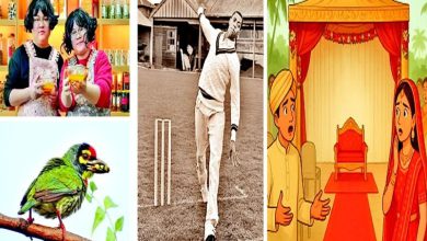 A strange and wonderful world