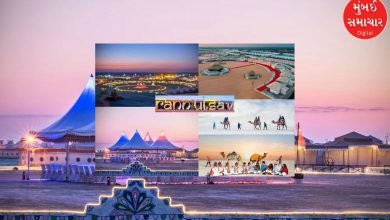 The wave of 'Supermoon Party' attracted tourists from Kutch to Thailand! Cheap airfares increase foreign travel