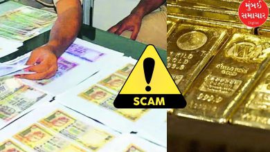 Duplicate notes and gold busted in Vadodara: Shocking discovery of Rs 1.62 crore notes and 3 kg gold