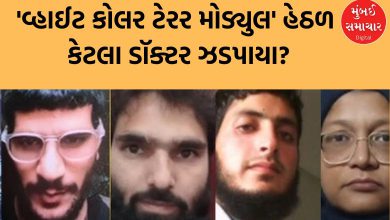Delhi Blast Conspiracy: Faridabad, Kanpur, Jammu, Pulwama... How many doctors were arrested under the 'White Collar Terror Module'?