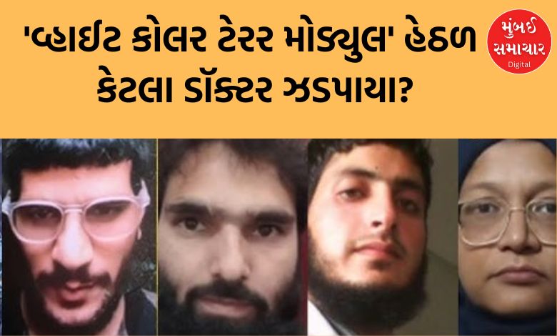 Delhi Blast Conspiracy: Faridabad, Kanpur, Jammu, Pulwama... How many doctors were arrested under the 'White Collar Terror Module'?