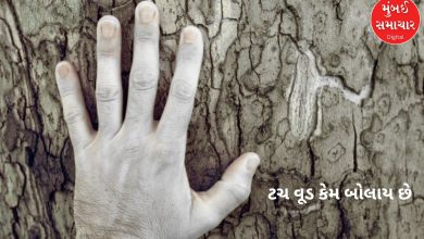 Why is it called 'Touch Wood'? You will be shocked to know the reason behind this...