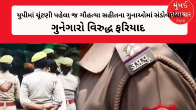 Complaints filed against 73 criminals involved in crimes including cow slaughter in UP even before elections