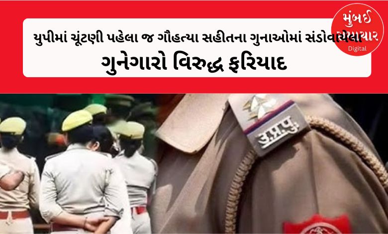 Complaints filed against 73 criminals involved in crimes including cow slaughter in UP even before elections