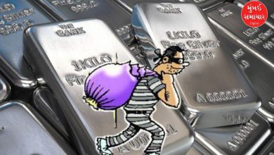 દહિસર જ્વેલરી ચોરીના કેસમાં પકડાયેલા બે આરોપીઓની તસવીર.