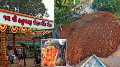 ફોકસઃ સંતે ભગવાનને મહેણું માર્યું ને સર્જાયો ફળનો પહાડ!