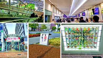 ) અરાઉન્ડ ધ વર્લ્ડઃ ઓસાકામાં વસે છે યંગ જાપાન...