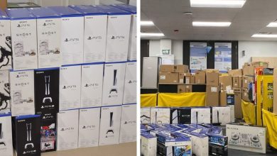 કેનેડામાં 5 ગુજરાતીઓની કેમ થઈ ધરપકડ? જાણો શું છે મામલો