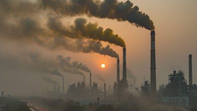 અમદાવાદમાં વાયુ પ્રદૂષણ ફેલાવતા 6 ઔદ્યોગિક એકમો સામે તંત્રએ કરી લાલ આંખ