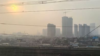 મુંબઈમાં હવા ઝેરી બની રહી છે! આ વિસ્તારોમાં બાંધકામ સહિત આ પ્રવૃત્તિઓ પર કડક પ્રતિબંધ