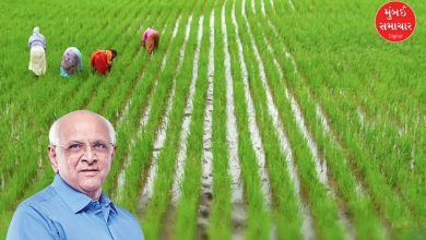 ગુજરાત સરકાર દ્વારા ખેડૂતોને કૃષિ રાહત પેકેજ અને ચેક વિતરણ અથવા ખેતીની ઉપજનું પ્રતીકાત્મક ચિત્ર.