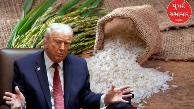 ટ્રમ્પે આપ્યું મોટું નિવેદન, ભારતીય ચોખા અને કેનેડિયન ખાતર પર નવા ટેરિફની શક્યતા!