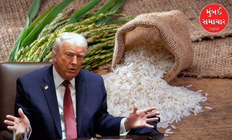 ટ્રમ્પે આપ્યું મોટું નિવેદન, ભારતીય ચોખા અને કેનેડિયન ખાતર પર નવા ટેરિફની શક્યતા!