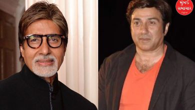 31 વર્ષ પહેલાં આવી હતી બિગ બી અને સની દેઓલની આ એકમાત્ર ફિલ્મ! જાણો કઈ હતી તે ફિલ્મ?