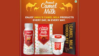 Amul's 'Camel Milk' plan flops? Border dairy suffers losses, camel farmers in trouble