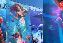 આણંદમાં બંધ કરાયેલ જલપરી વોટર ફેસ્ટિવલના સ્થળનું દ્રશ્ય