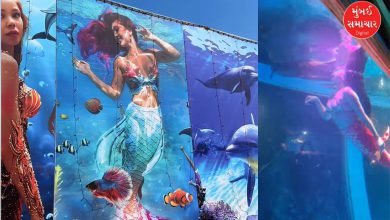 આણંદમાં બંધ કરાયેલ જલપરી વોટર ફેસ્ટિવલના સ્થળનું દ્રશ્ય