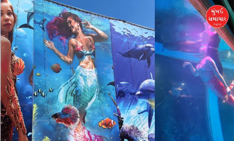 આણંદમાં બંધ કરાયેલ જલપરી વોટર ફેસ્ટિવલના સ્થળનું દ્રશ્ય